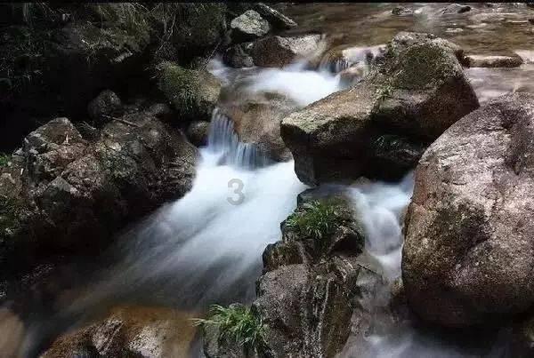 雷竞技比分